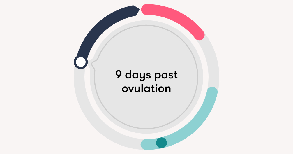 Julia Pago porno video Seksual onam